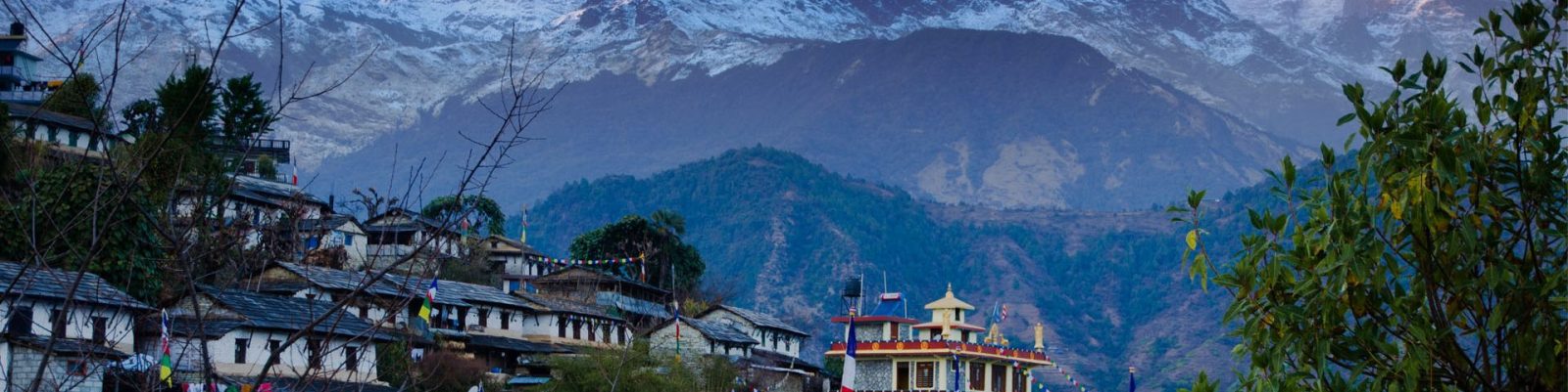 Contact Limitless India vacations